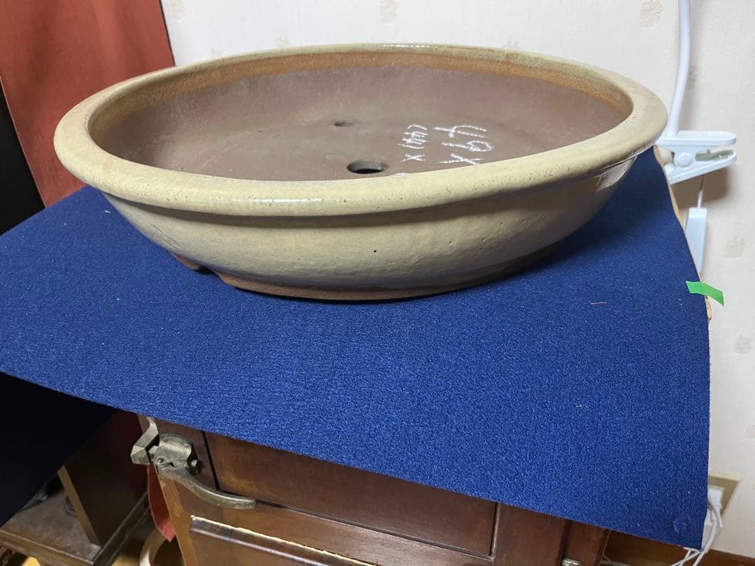 997 盆栽　盆栽鉢　植木鉢　中国鉢　白交趾