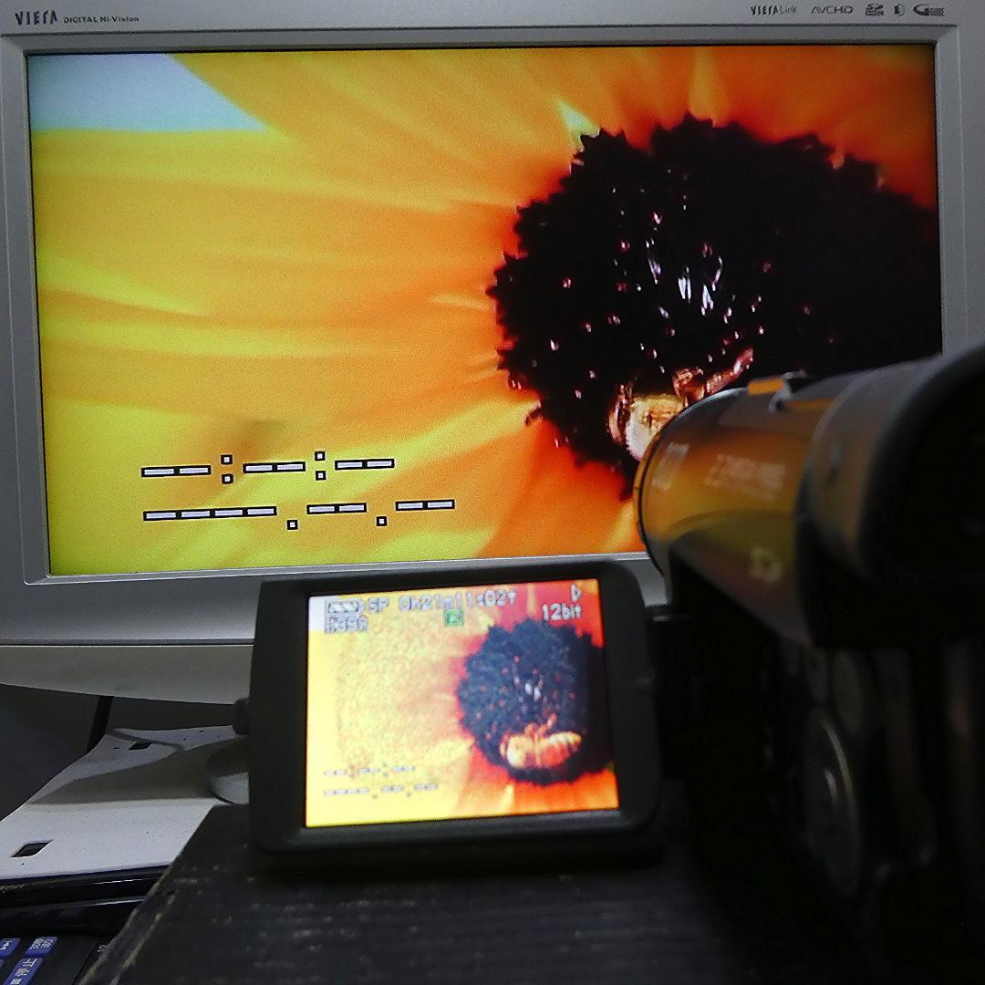 動作良好 パナソニック NV-GS200 MiniDVビデオカメラDVD化に最適