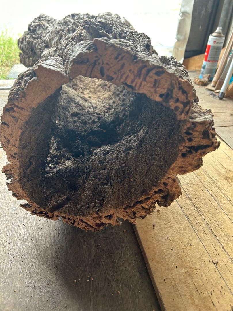 ポルトガル産コルク樹皮 ＰＬ-1002-103Ｌ