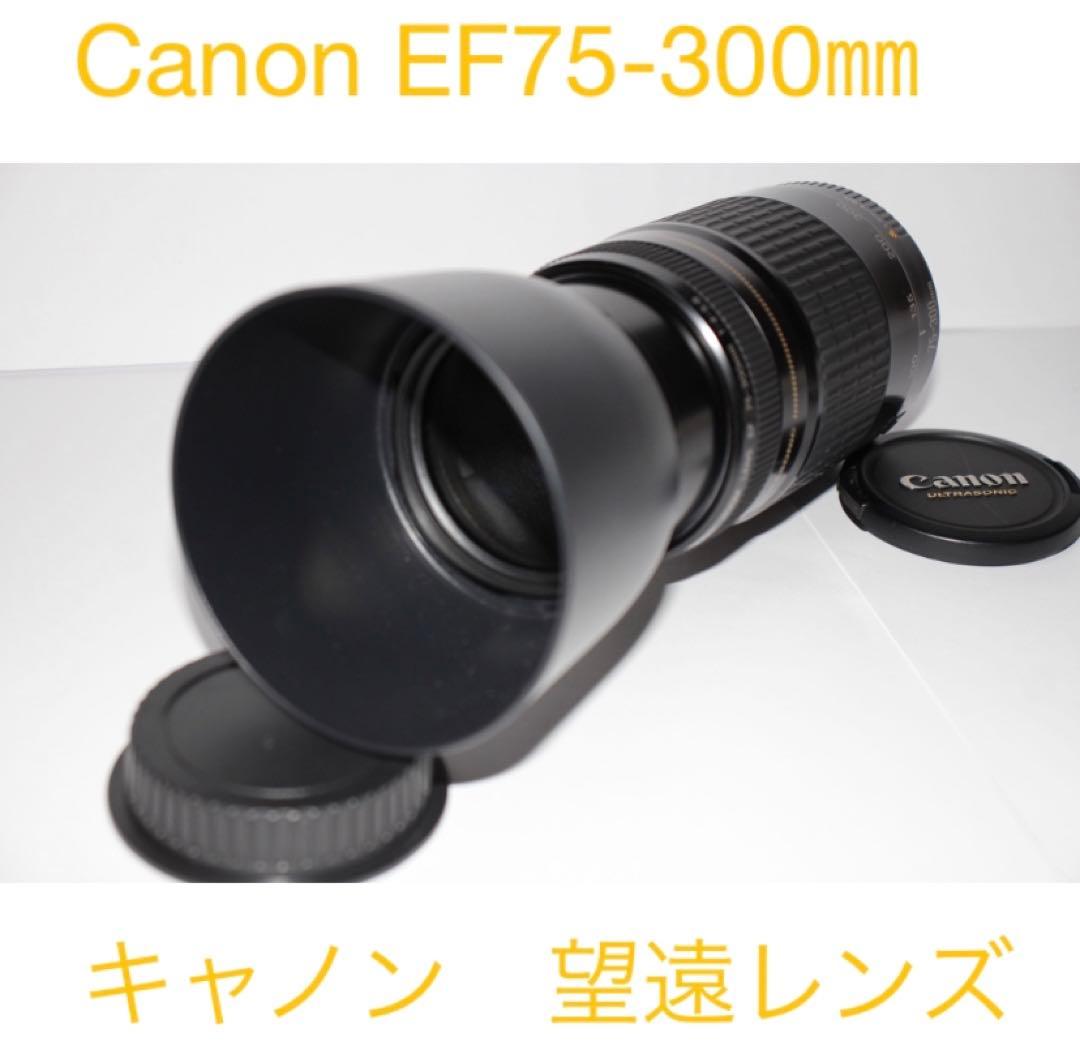 望遠レンズ☆イベントに大活躍☆Canon EF75-300㎜