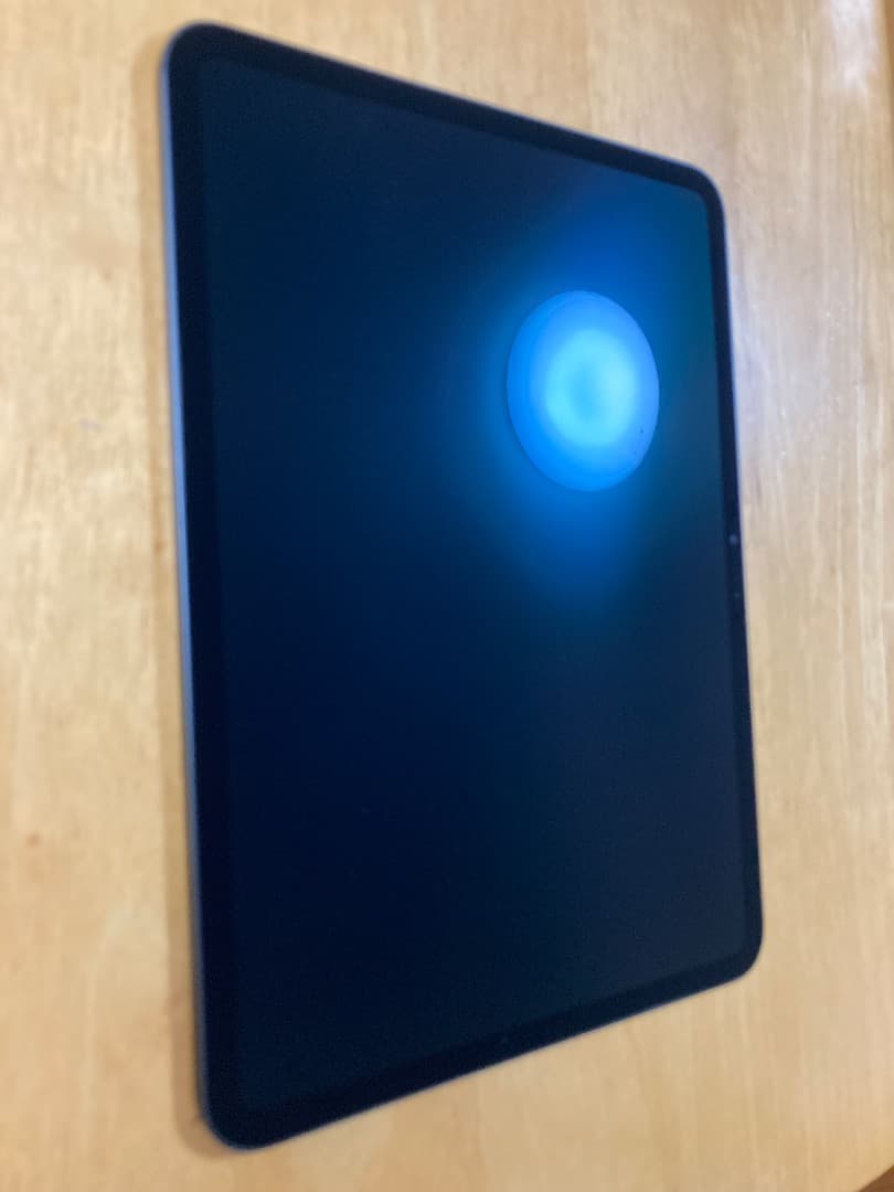 iPad本体 iPad Pro M4 11 Wi-Fi 512 Apple Penc pro