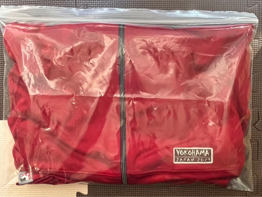 WCS 2023 スタッフ限定パーカー【M】