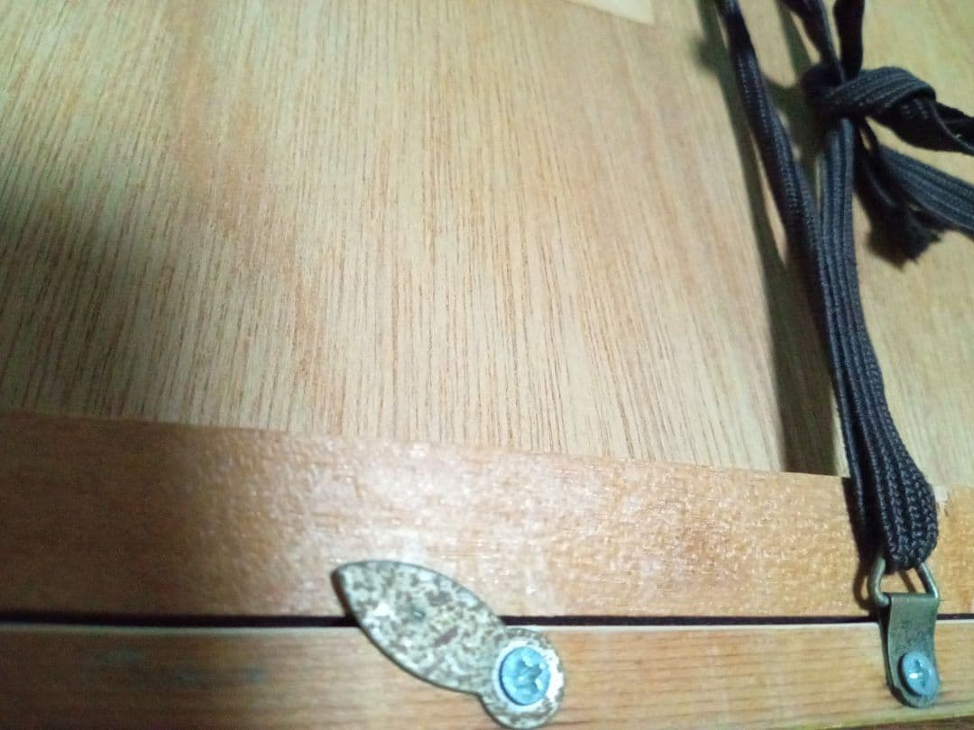 限定価格中高橋潮作品(緒)