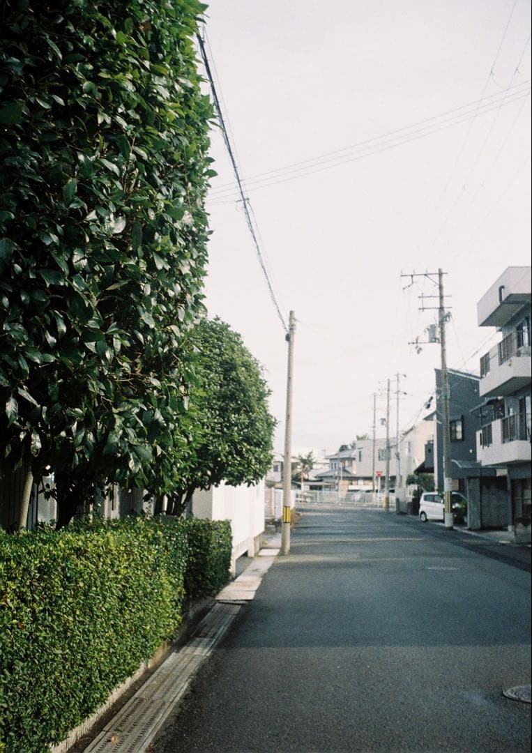 おいも　とします。メンテナンス完了　試写良好