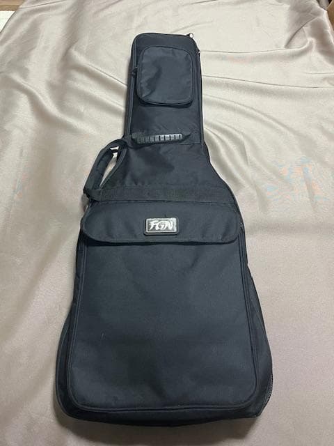 FUJIGEN NTE10M AH /OWB テレキャスター 超美品