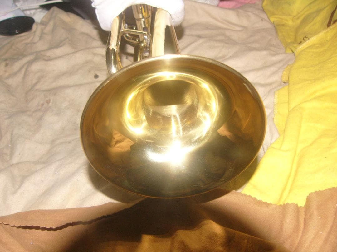 超激安特価！生産終了品 ・ENNBOM バックスタイルモデル Tp（新古品級）