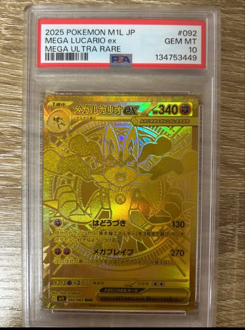 MEGA GARDEVOIR ex & MEGA LUCARIO ex セット