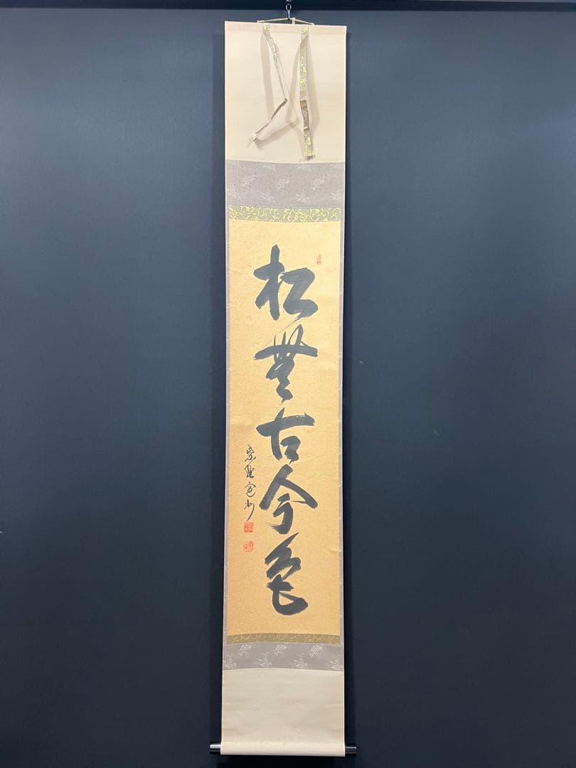4111 長谷川寛州「松無古今色」 共箱 肉筆 掛軸 臨済宗 大徳寺 禅語