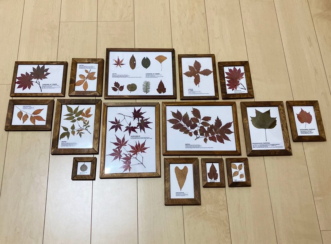 トラックファニチャー TRUCKFUNITURE truckfuniture 風