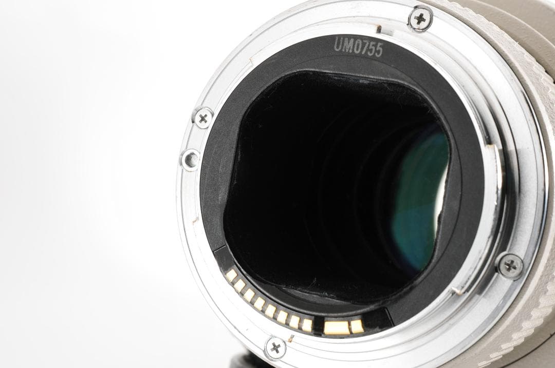 レンズ(単焦点) Canon 300mm 1:2.8 L ULTRASONIC #1386.65