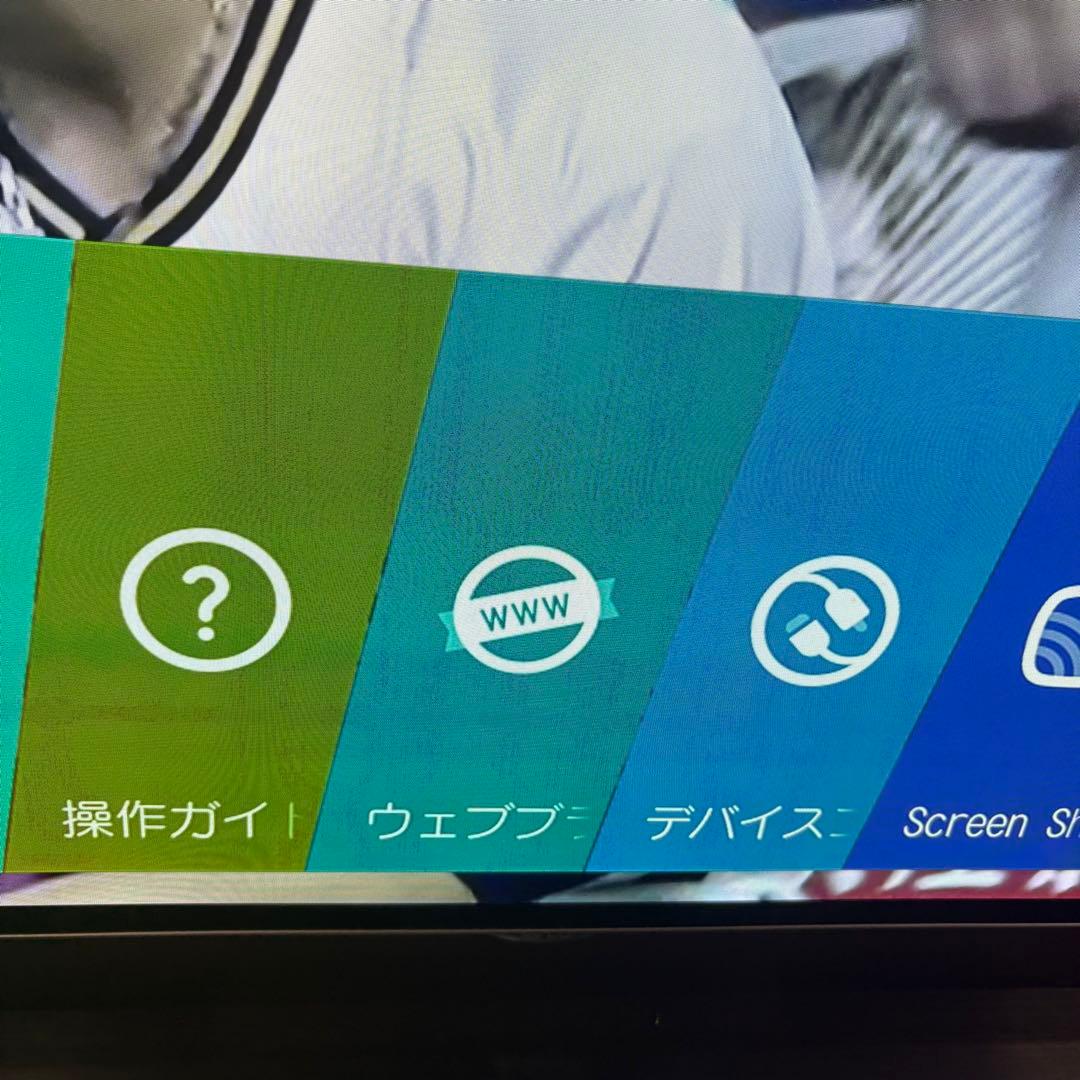 一都三県限定　配送設置無料　4K有機ELテレビ　LG エルジー　55インチ