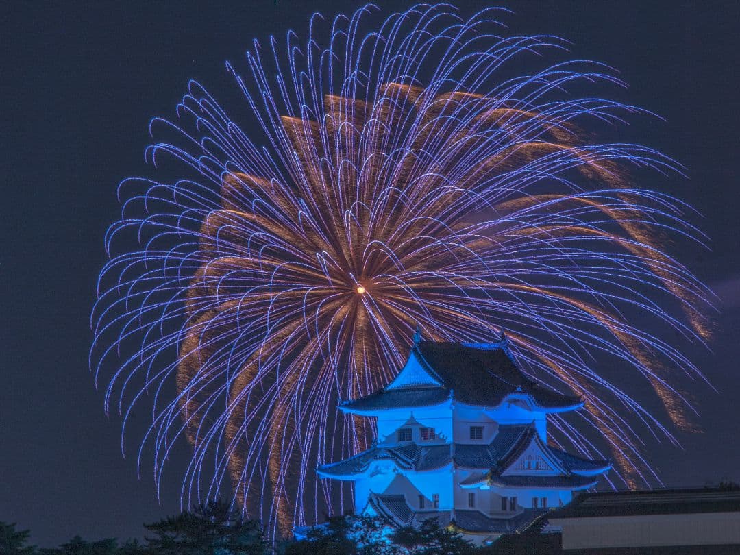 Nikon D700 バッテリーグリップ付き ミラー不具合