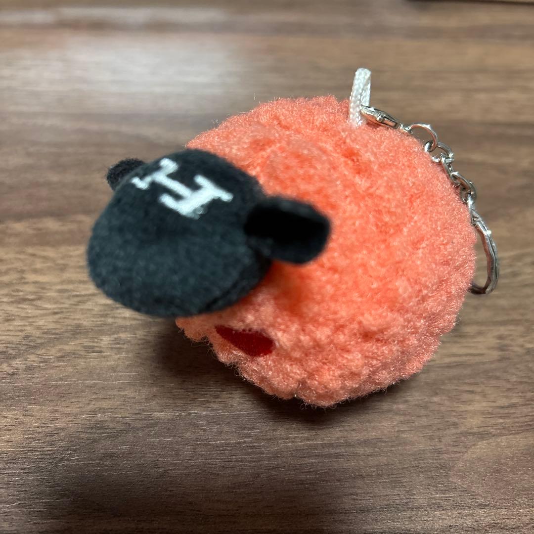 羊文学　いろいろ8点セット