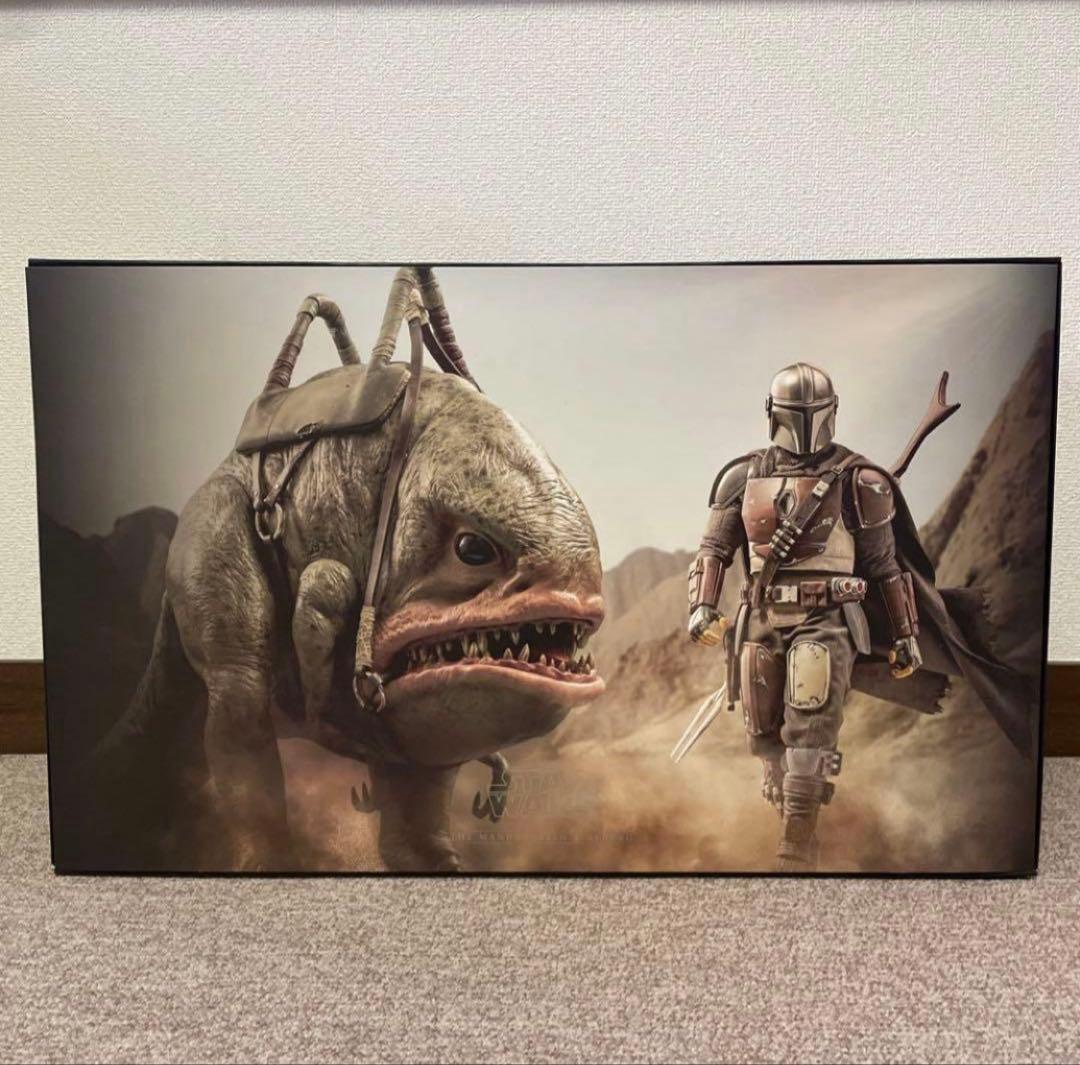 【未展示】マンダロリアン＆ブラーグ（２体セット）　ホットトイズ　TM 046