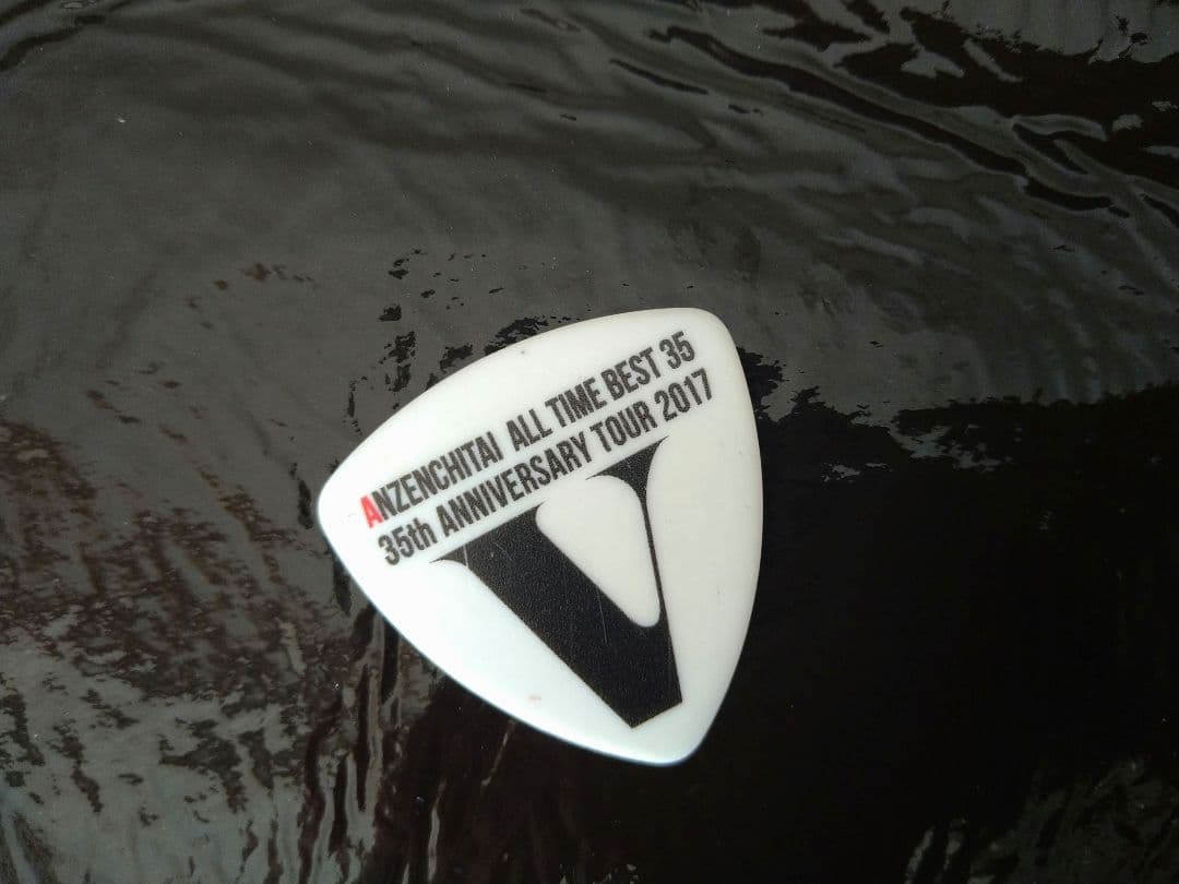 玉置浩二　本人使用　ギターピック　安全地帯