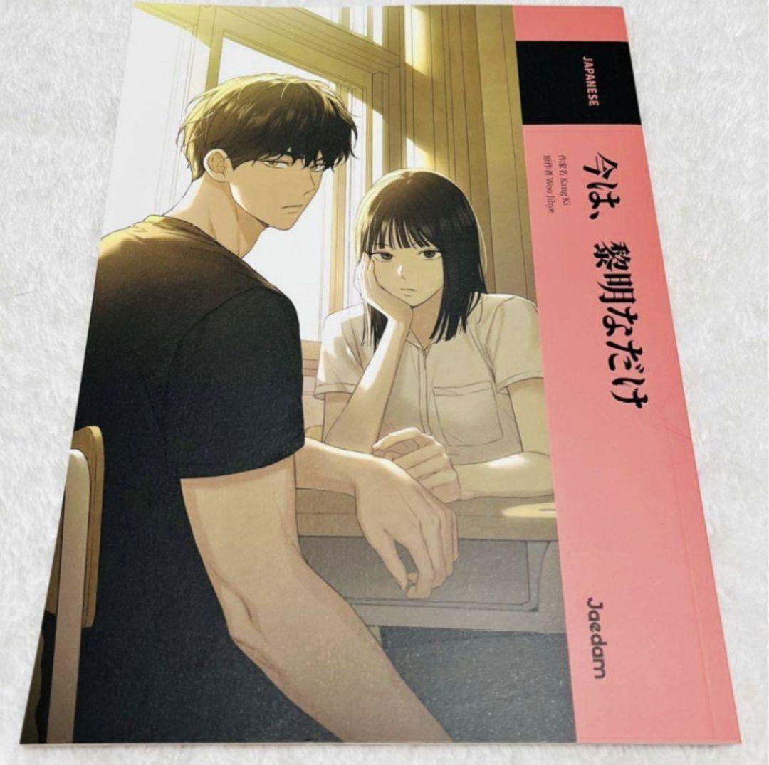 今は、黎明なだけ アニメーション本 本 ブック 韓国 韓国漫画 非売品 _-