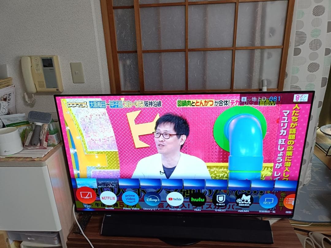 パナソニック ビエラ 有機EL 4K TH-55HZ1000 2020年 保証付