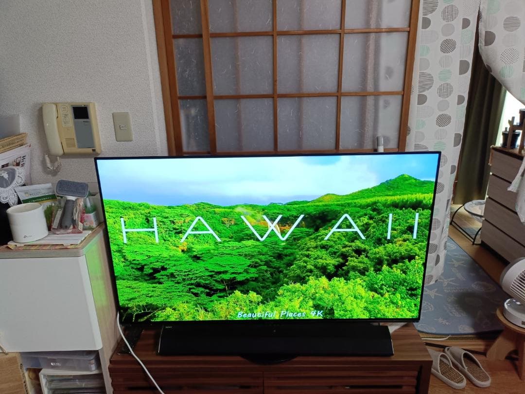 パナソニック ビエラ 有機EL 4K TH-55HZ1000 2020年 保証付
