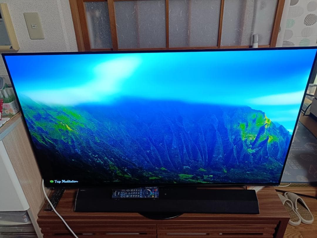 パナソニック ビエラ 有機EL 4K TH-55HZ1000 2020年 保証付