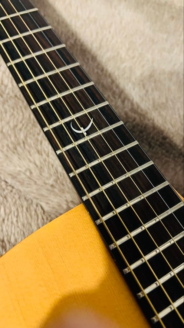 Faith エレアコ/FS3EB