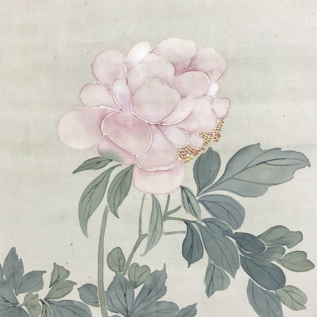 【真作】澤之郷/牡丹瓶花図/花図/モクレン/掛軸/名家伝来/AD-688