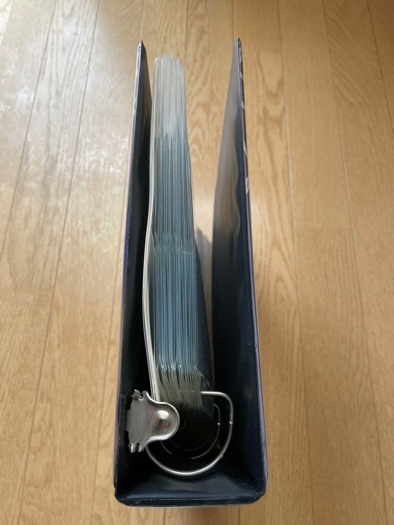 【美品！！】MTG 公式カードファイルバインダー ストロングホールド