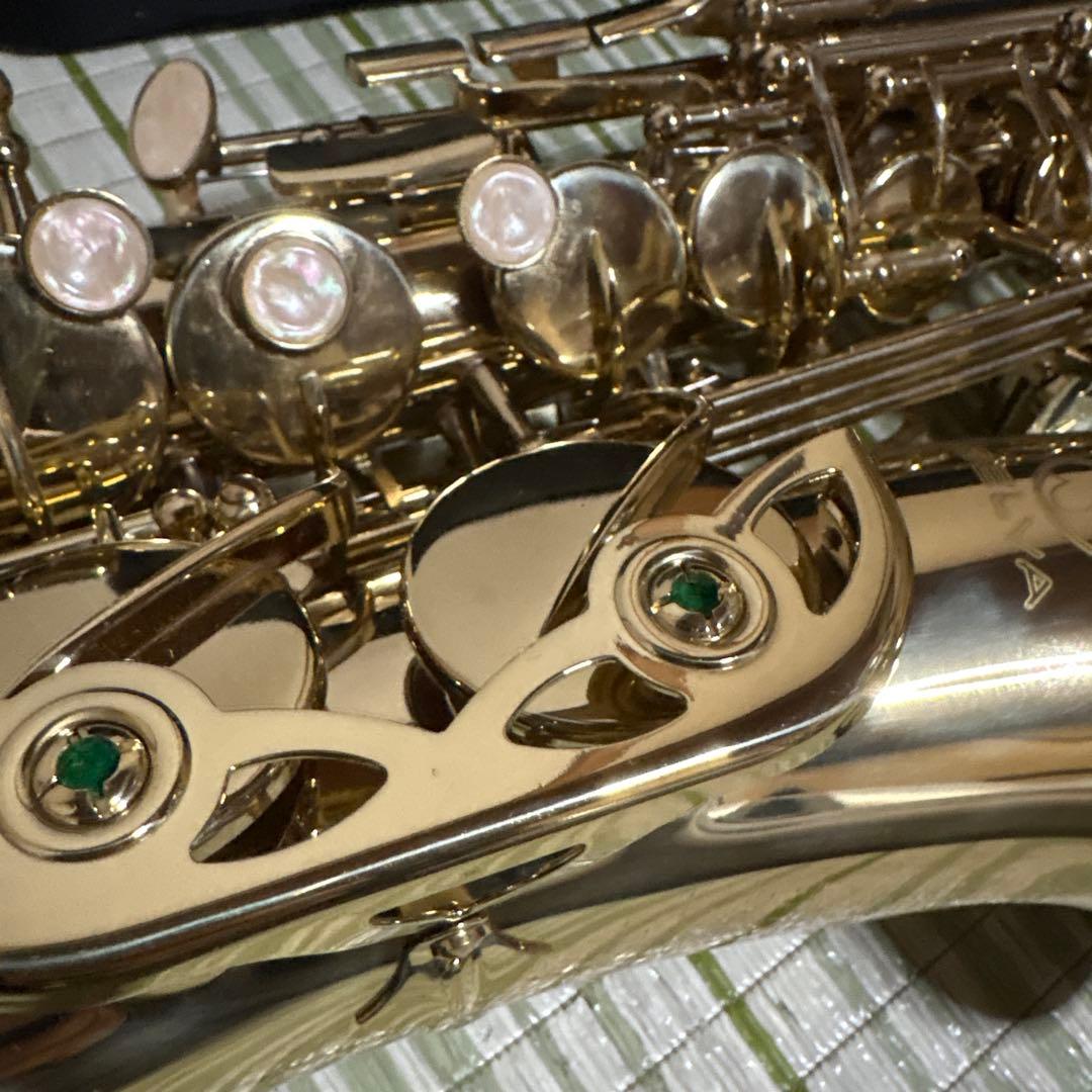 SELVA セルバ アルトサックス SAS-100 ケース付き　管楽器　音楽