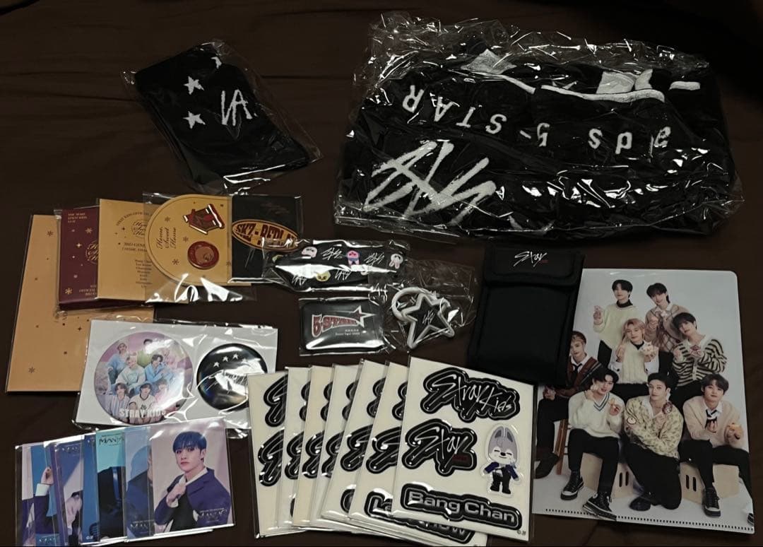 Straykids ペンライト ver.2 カバー その他 双眼鏡 セット