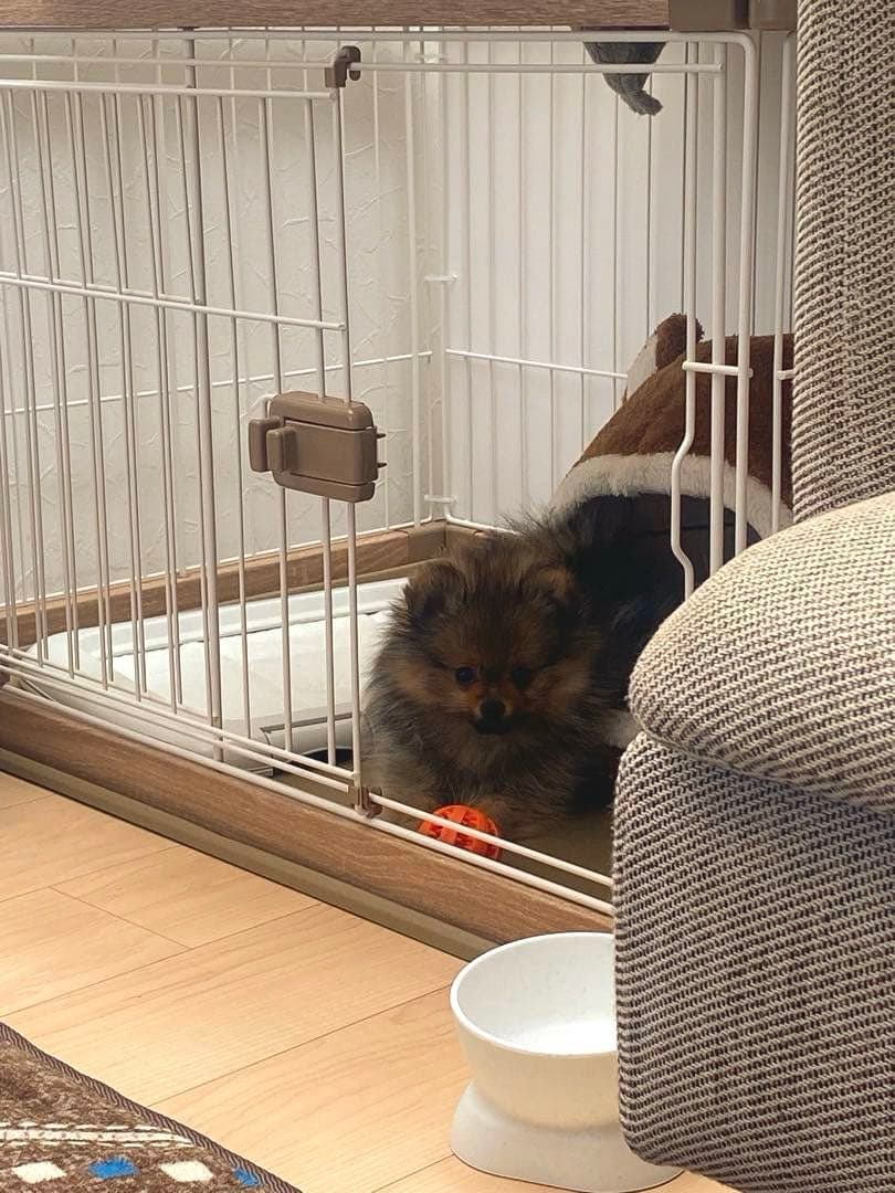 IRIS OHYAMA 犬用ケージ PWSR-960LV