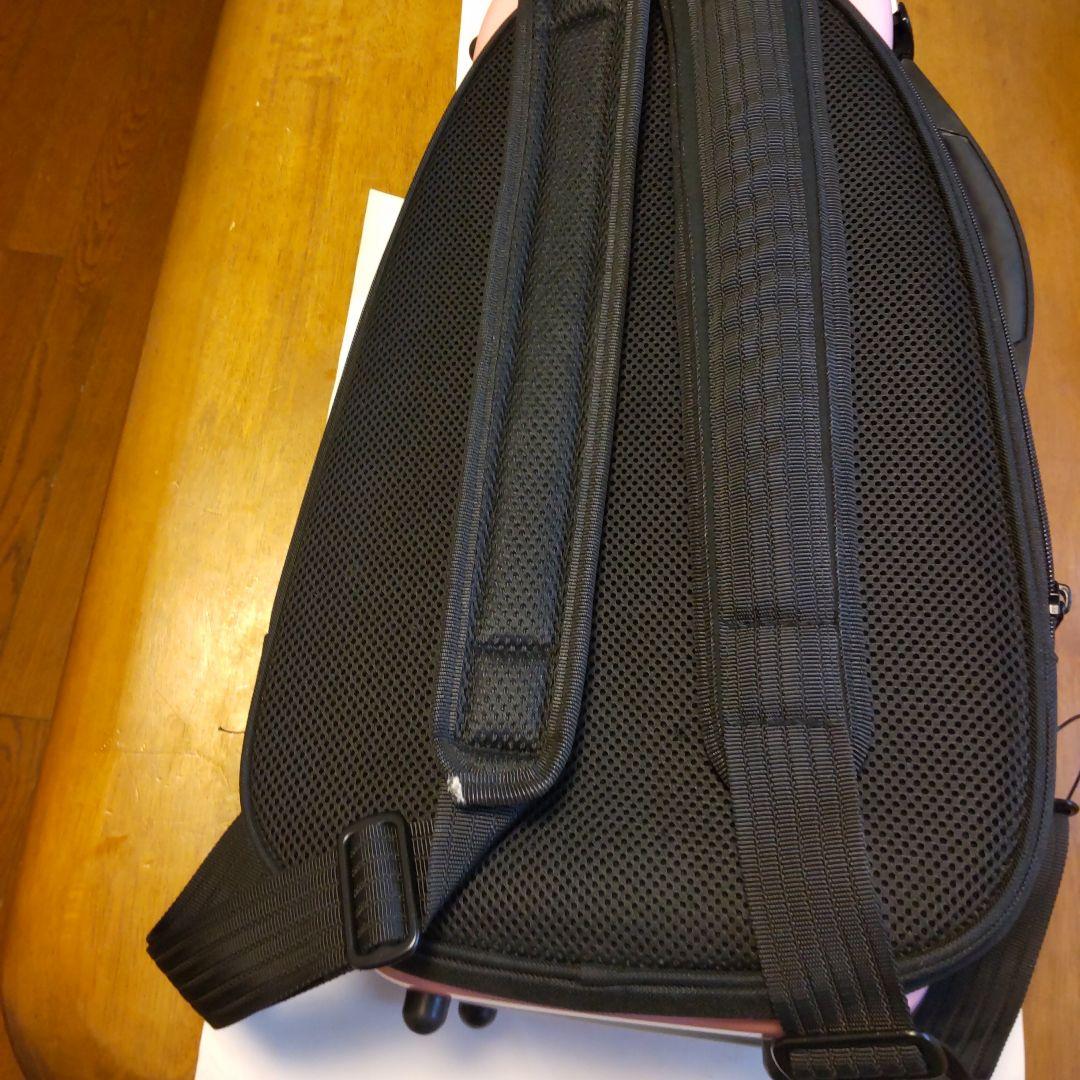 はなさん専用！バイオリン本体C.Giordanoカルロジョルダーノ木製手工芸品