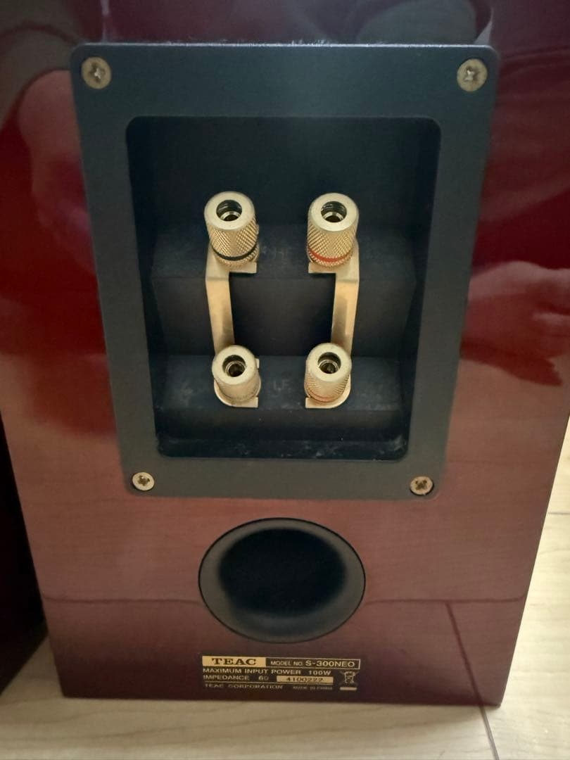 TEAC コアキシャル2ウェイスピーカーシステム S-300NEO
