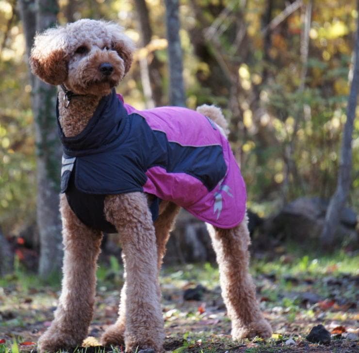 アルティメットウォーマー 〈 ピンク 〉