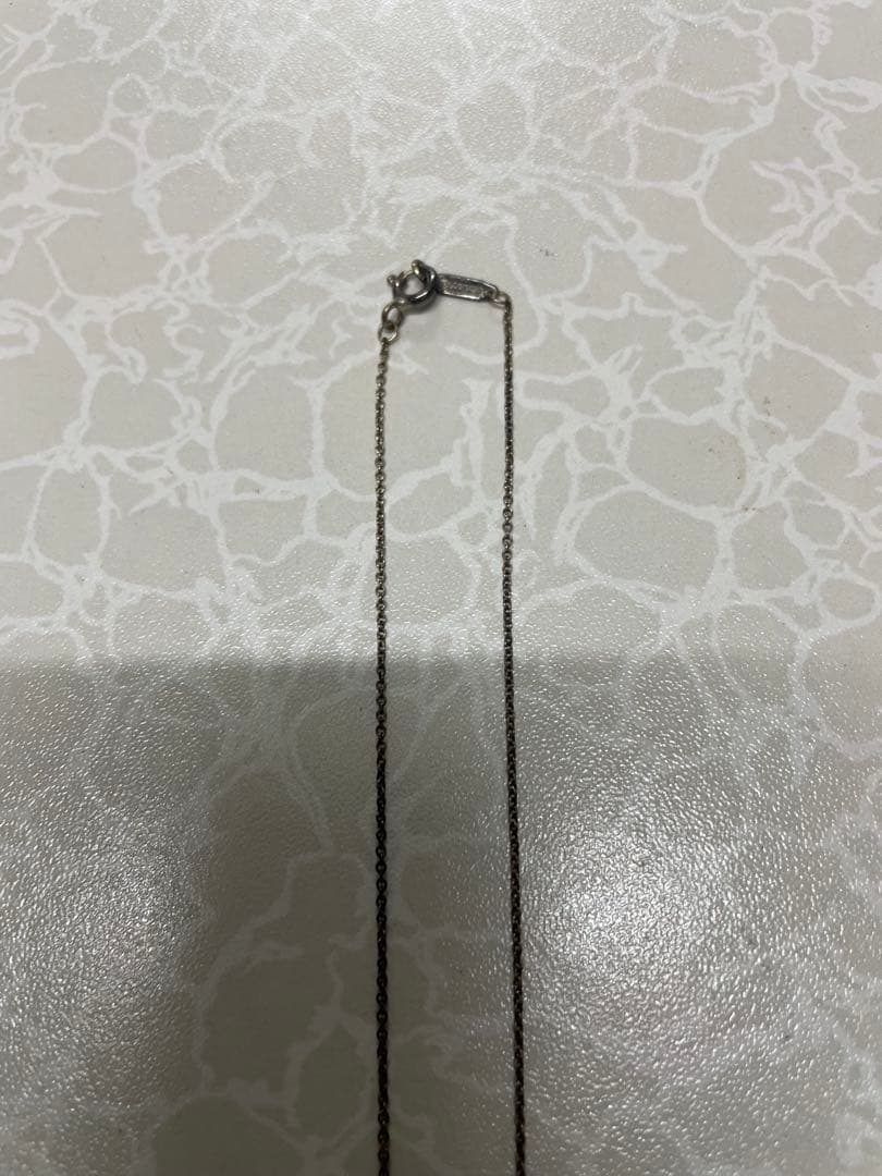②Tiffany & Co. 925 サークルペンダントチェーン付き 箱あり