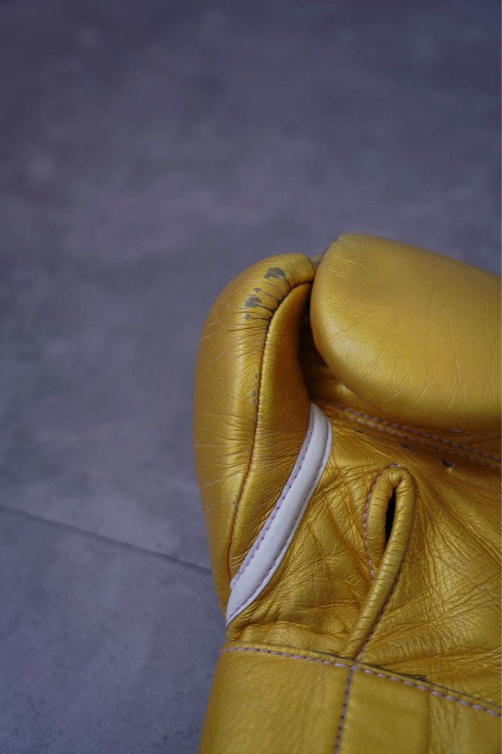 レア！！井上尚弥、武尊使用のゴールドwinning 8オンス　ゴールデングローブ