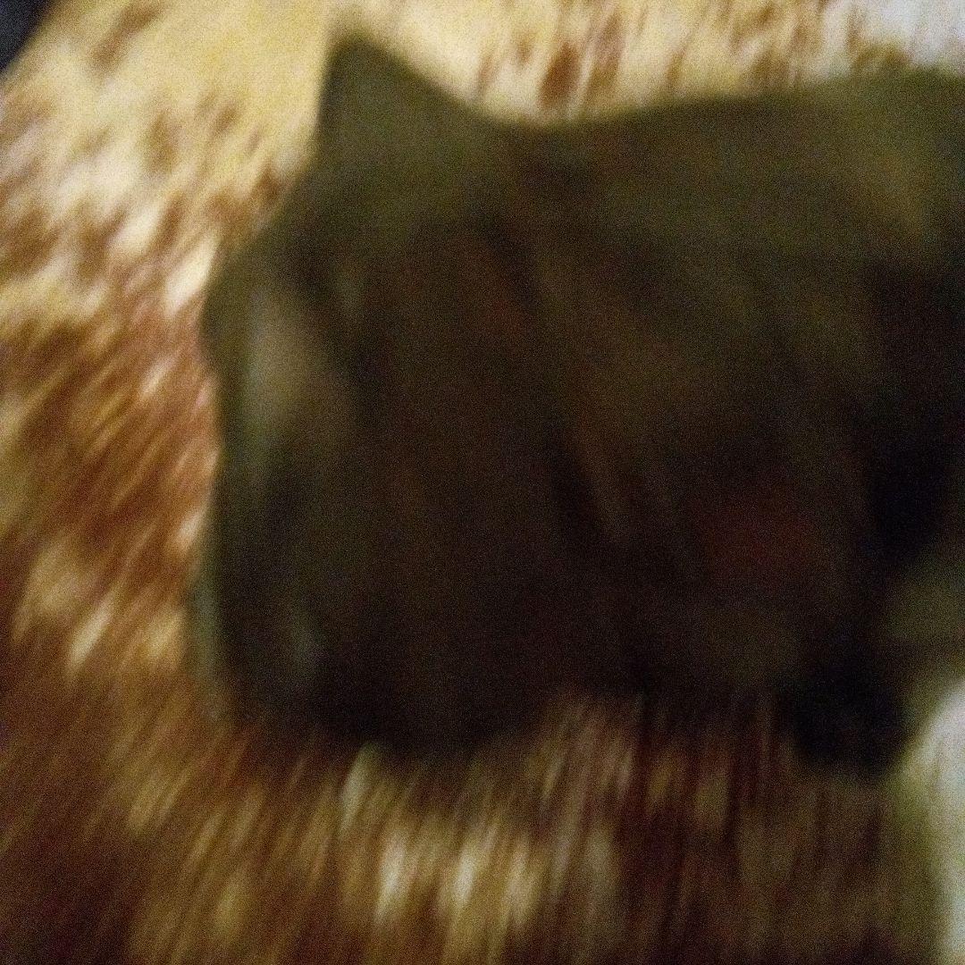 鉄ブロンズライオンの彫刻 約55cm