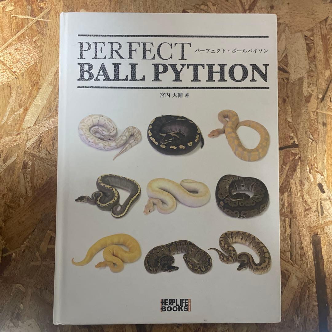 パーフェクトボールパイソン