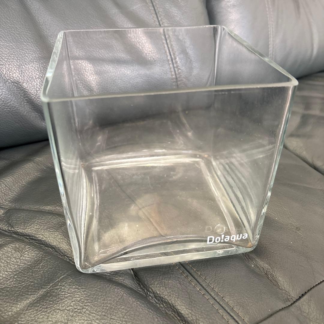 廃盤未使用 ADA Do!aqua プラントグラス 15×15×15