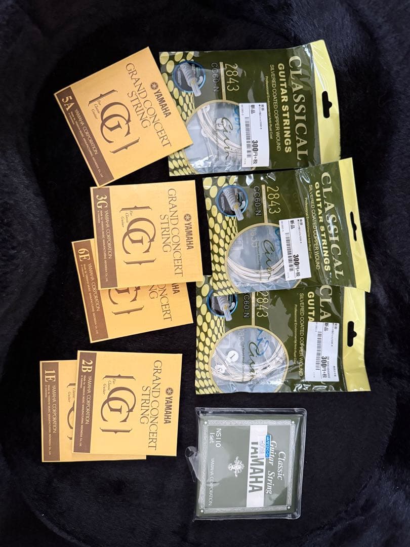 Takamine エレクトリカルアコースティックギター　PT407