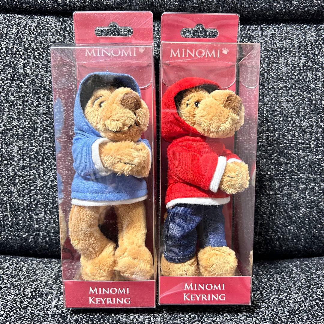 【美品】イミンホ ミノミキーリング 2個セット minomi