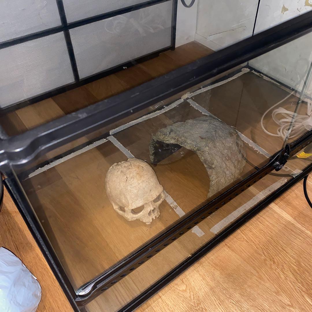 中型透明ガラス飼育ケース