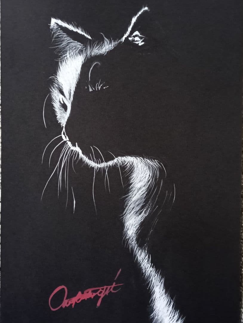 猫のシルエット BlackB4