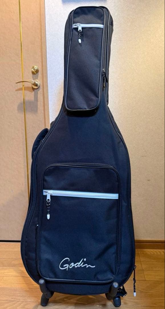 ギター Godin Multiac Nylon Encore Natural