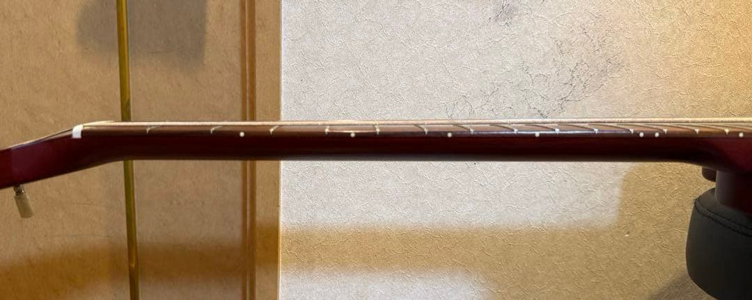 ギター Godin Multiac Nylon Encore Natural