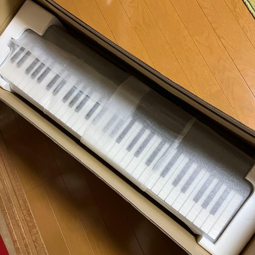 Casio CT-S300 61鍵電子キーボード　カシオトーン