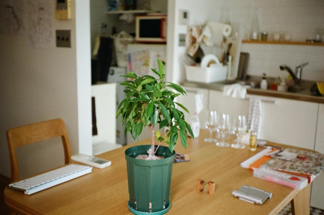 Konica C35 ブルー【整備済完動品】