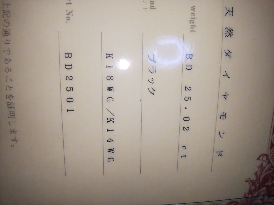 Ｋ18WG ブラックダイヤモンドネックレス 25.02ct