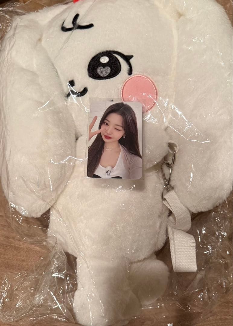 ive minive ウォニョン　ハグバッグ