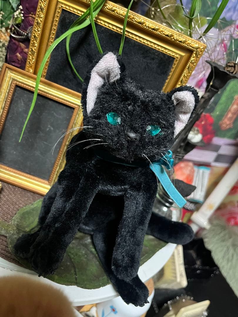 ブラックキャット アイピロー