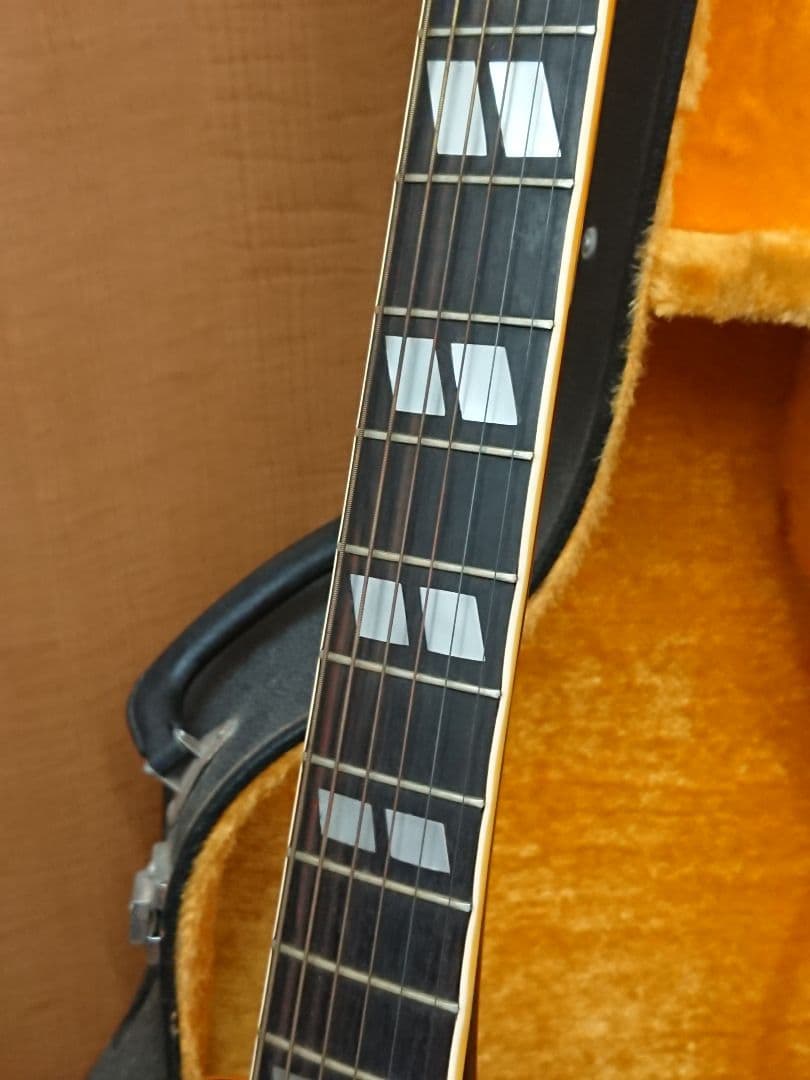 H1 アコースティックギター Chaki W-50 ピック多数 ハードケース付き