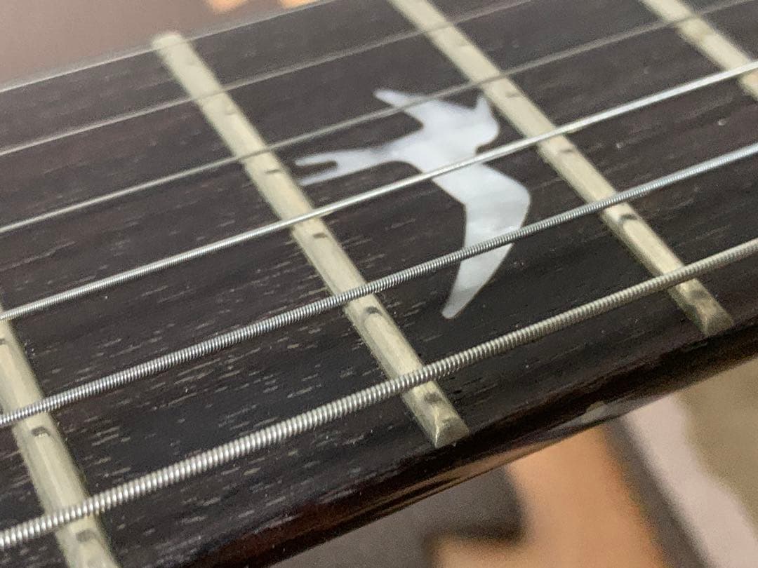 ギター PRS SE Custom 24 Paul Reed Smith flattop